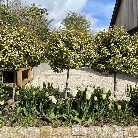 Cedar House Hostal Ilsington Exterior foto